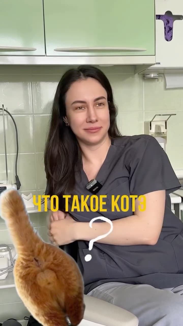Что такое КТ?